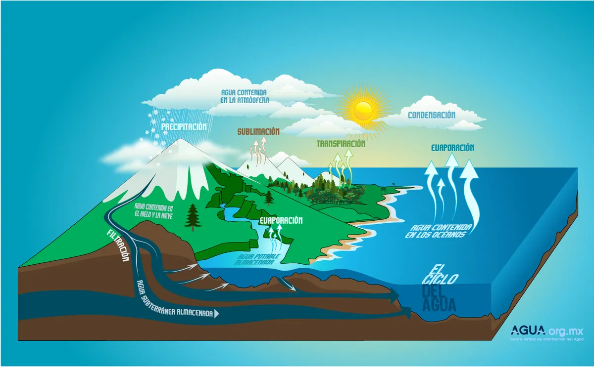 Ejemplos de microlearning