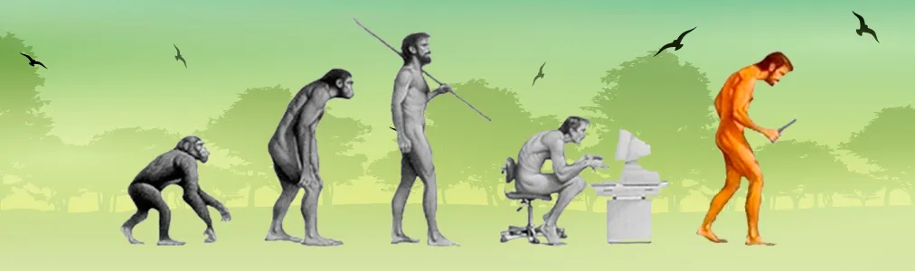 cabecera_evolución
