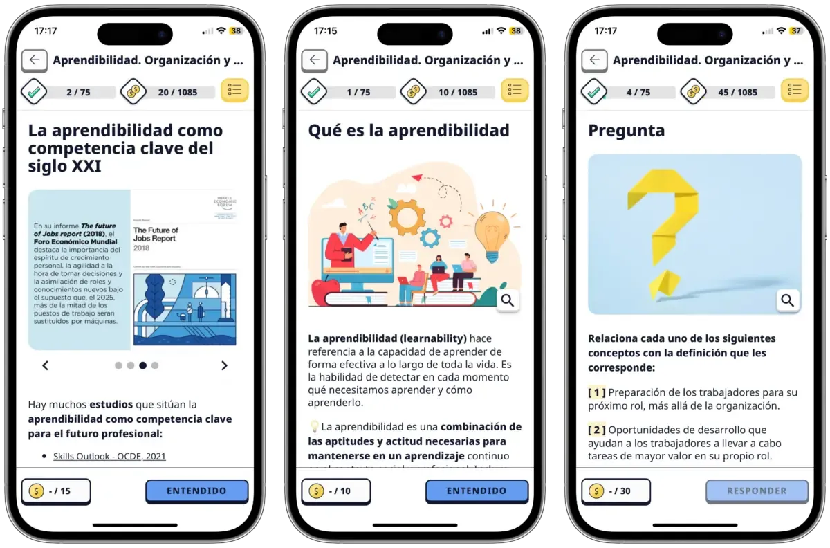 Aprendibilitat. Organització i gestió de l’aprenentatge propi (learnability)